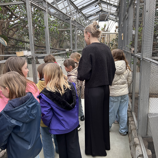 Een groep lagere schoolkinderen die op klasuitstap zijn in Pelt (Limburg) bij Bird Palace