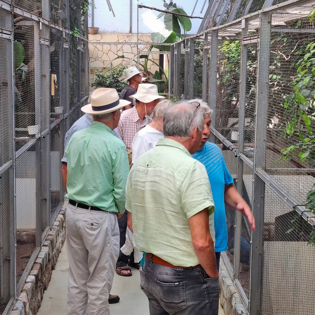Een senioren vereniging op uitstap in Bird Palace Pelt